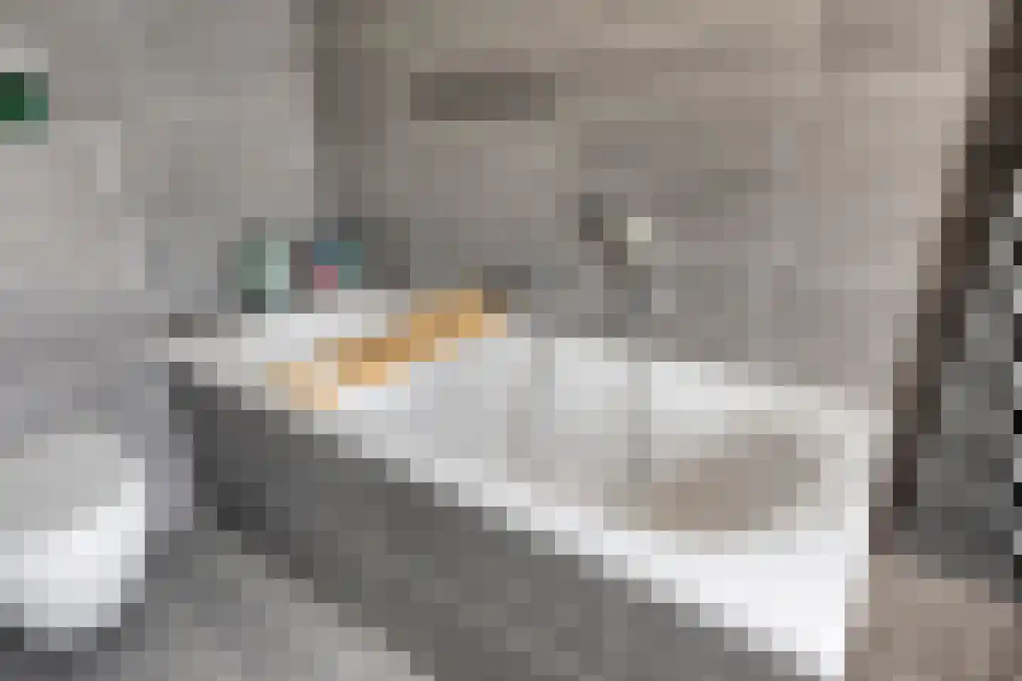 Bosbeeklaan 64 Baarlo thumbnail 27