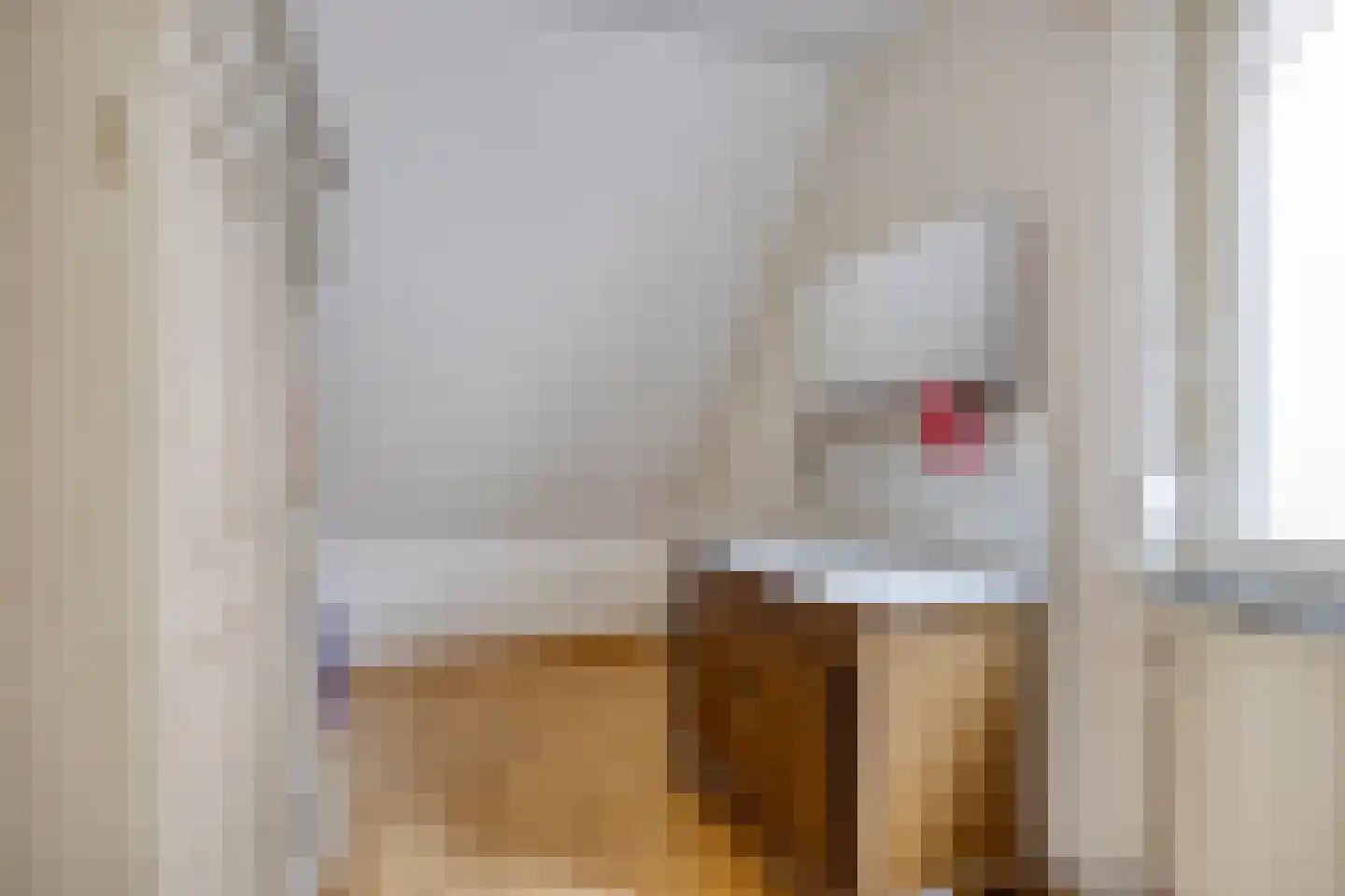 Bosbeeklaan 64 Baarlo thumbnail 31