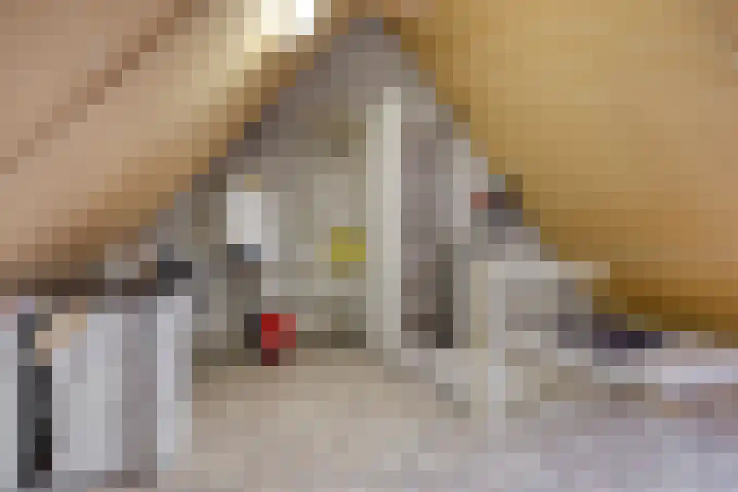 Bosbeeklaan 64 Baarlo thumbnail 34