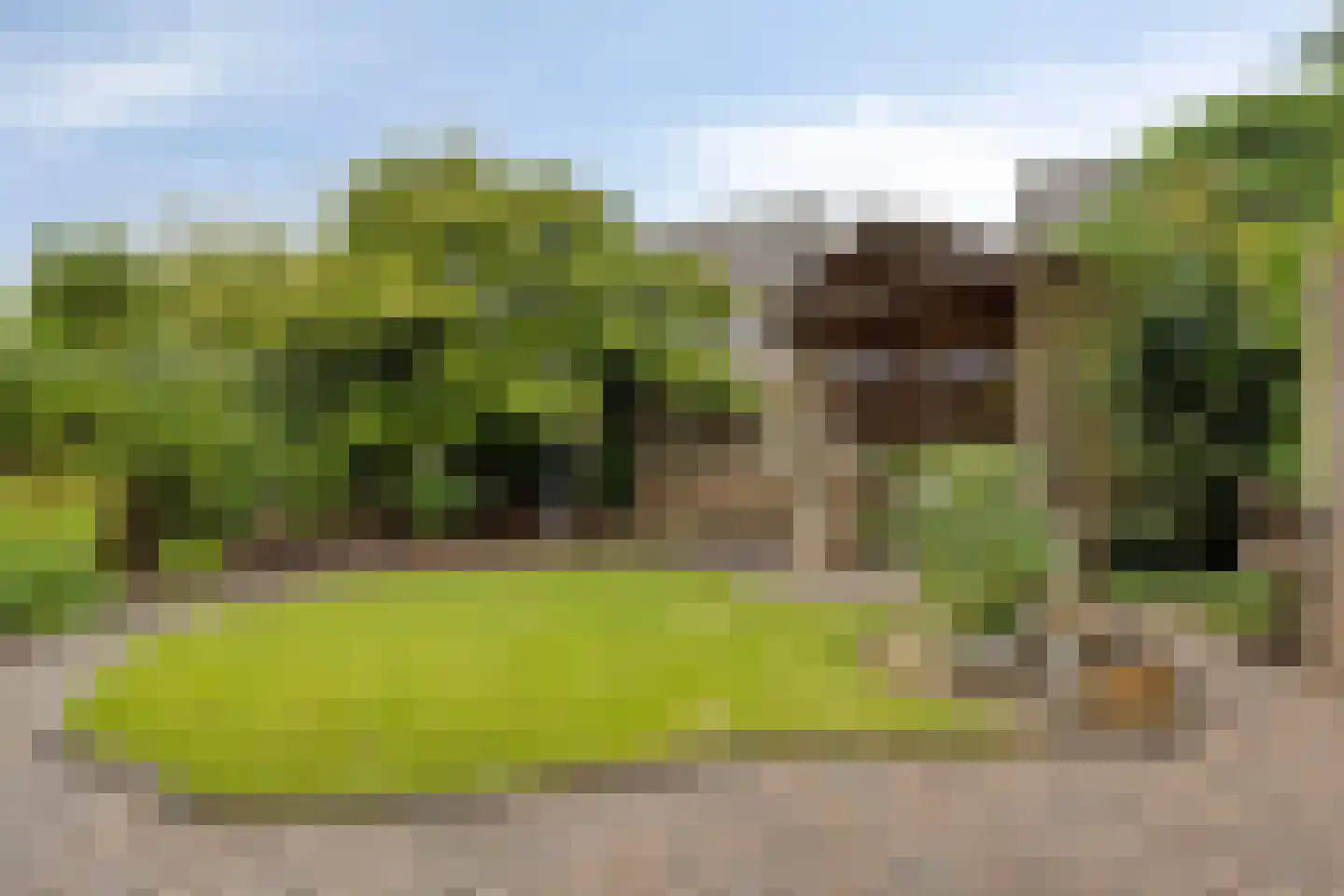 Bosbeeklaan 64 Baarlo thumbnail 36