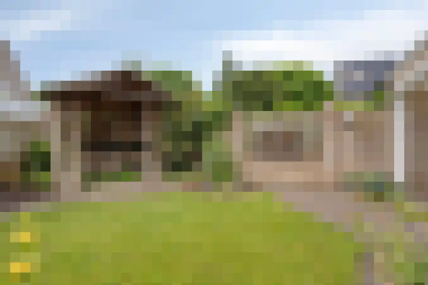 Bosbeeklaan 64 Baarlo thumbnail 37