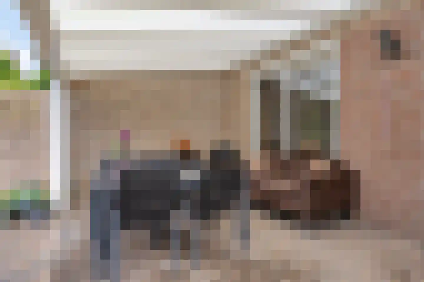 Bosbeeklaan 64 Baarlo thumbnail 39