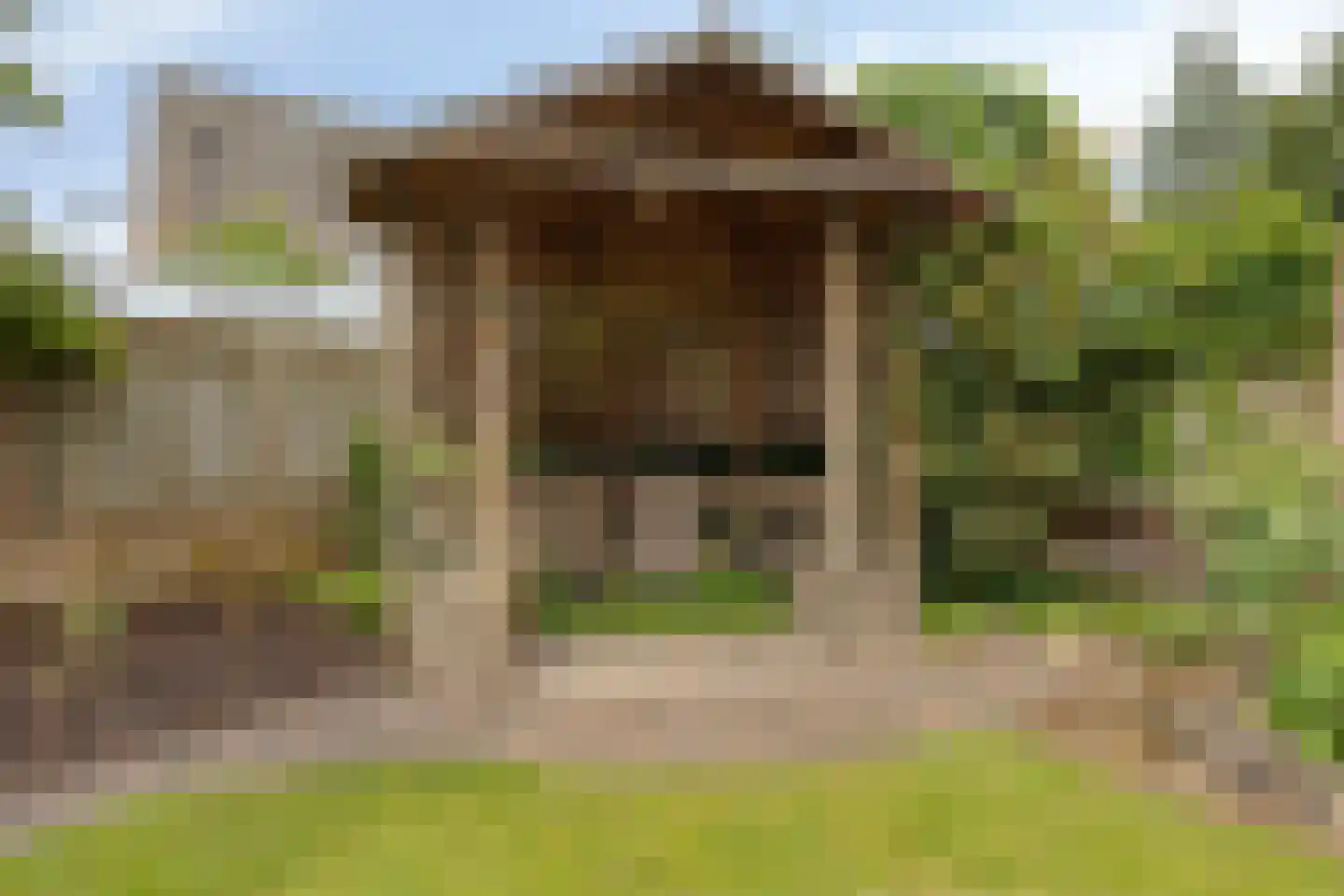Bosbeeklaan 64 Baarlo thumbnail 41