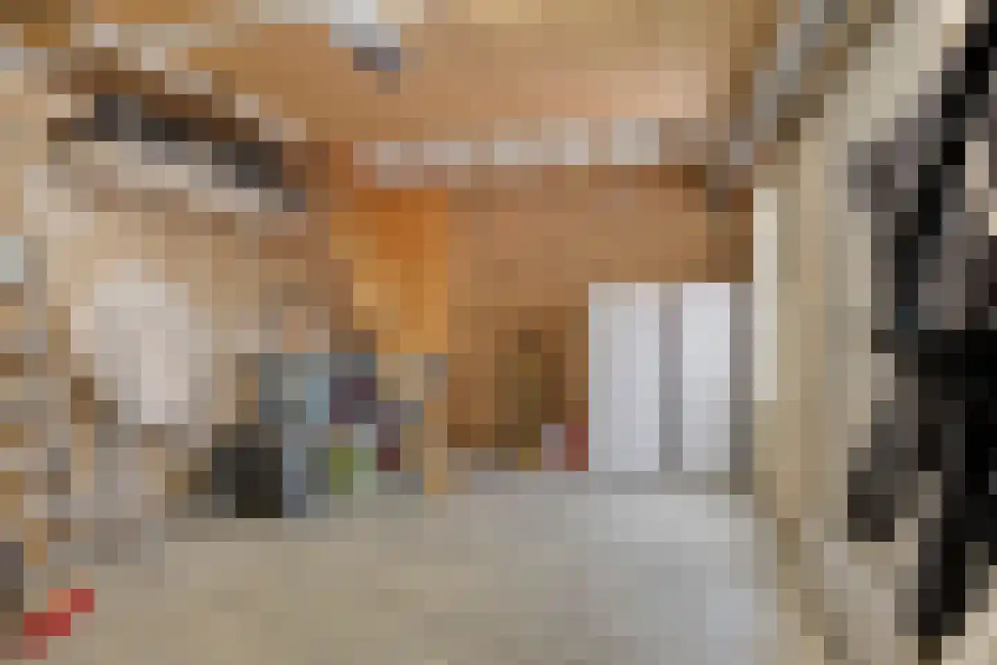 Bosbeeklaan 64 Baarlo thumbnail 43
