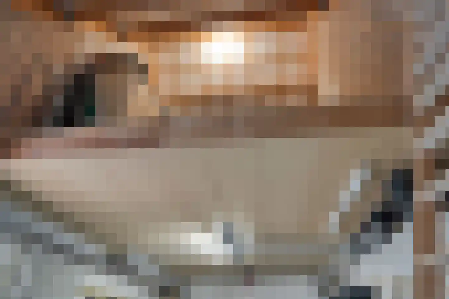 Bosbeeklaan 64 Baarlo thumbnail 44