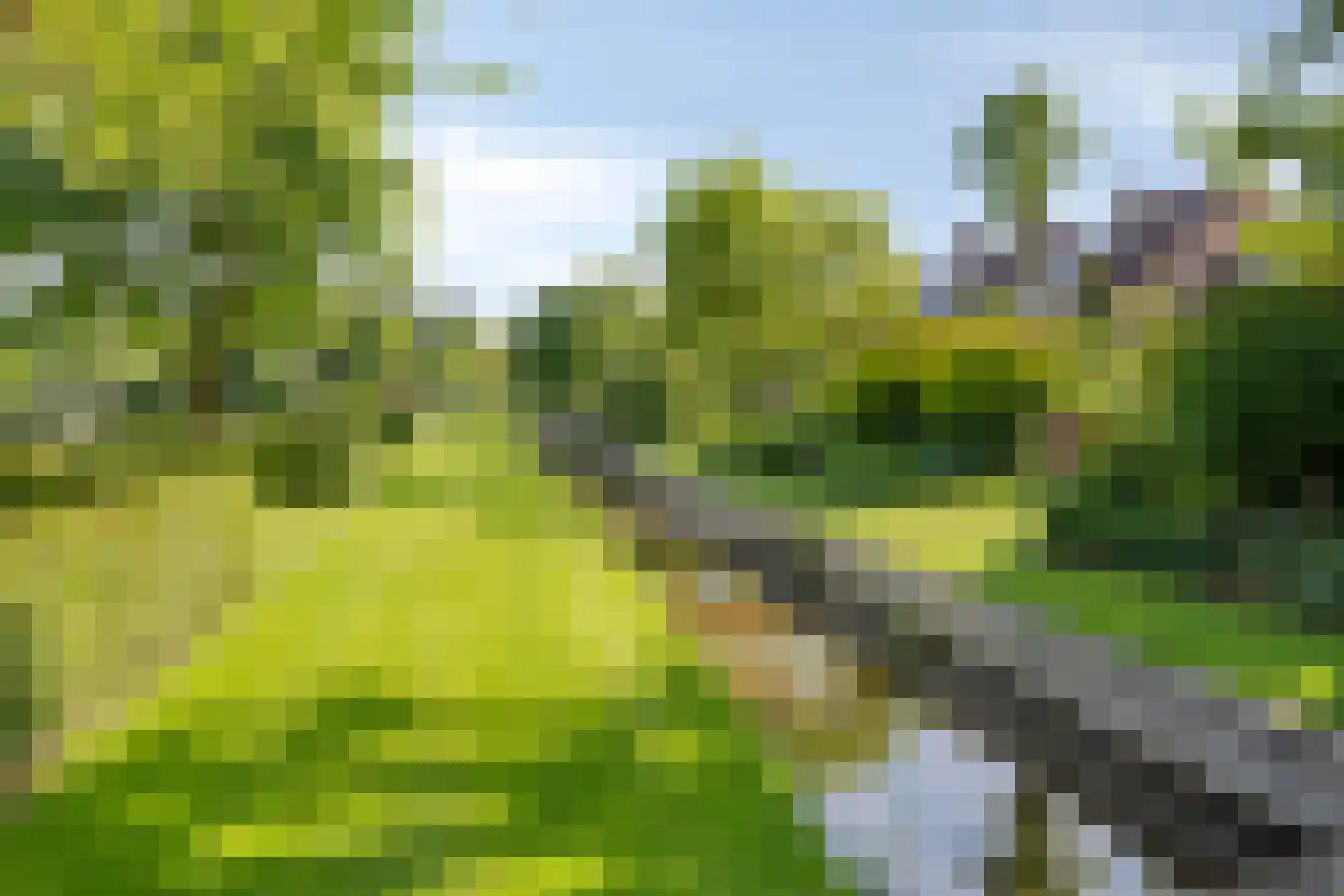 Bosbeeklaan 64 Baarlo thumbnail 53