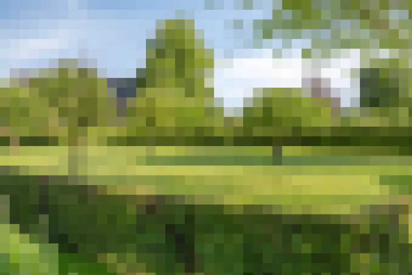 Bosbeeklaan 64 Baarlo thumbnail 54