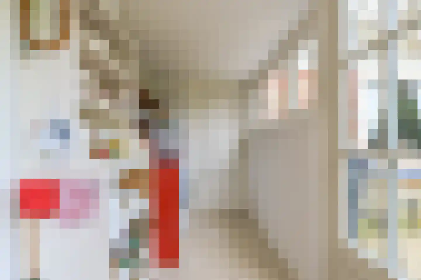 Bosbeeklaan 8 Santpoort-Noord thumbnail 19