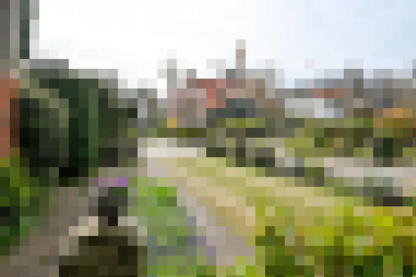 Bosbeeklaan 8 Santpoort-Noord foto 3