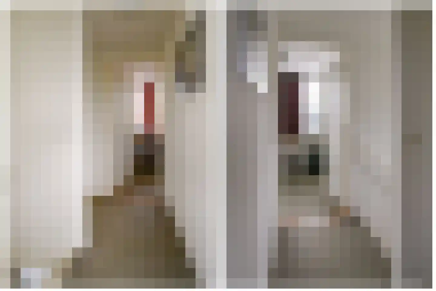 Bosbeeklaan 8 Santpoort-Noord thumbnail 39