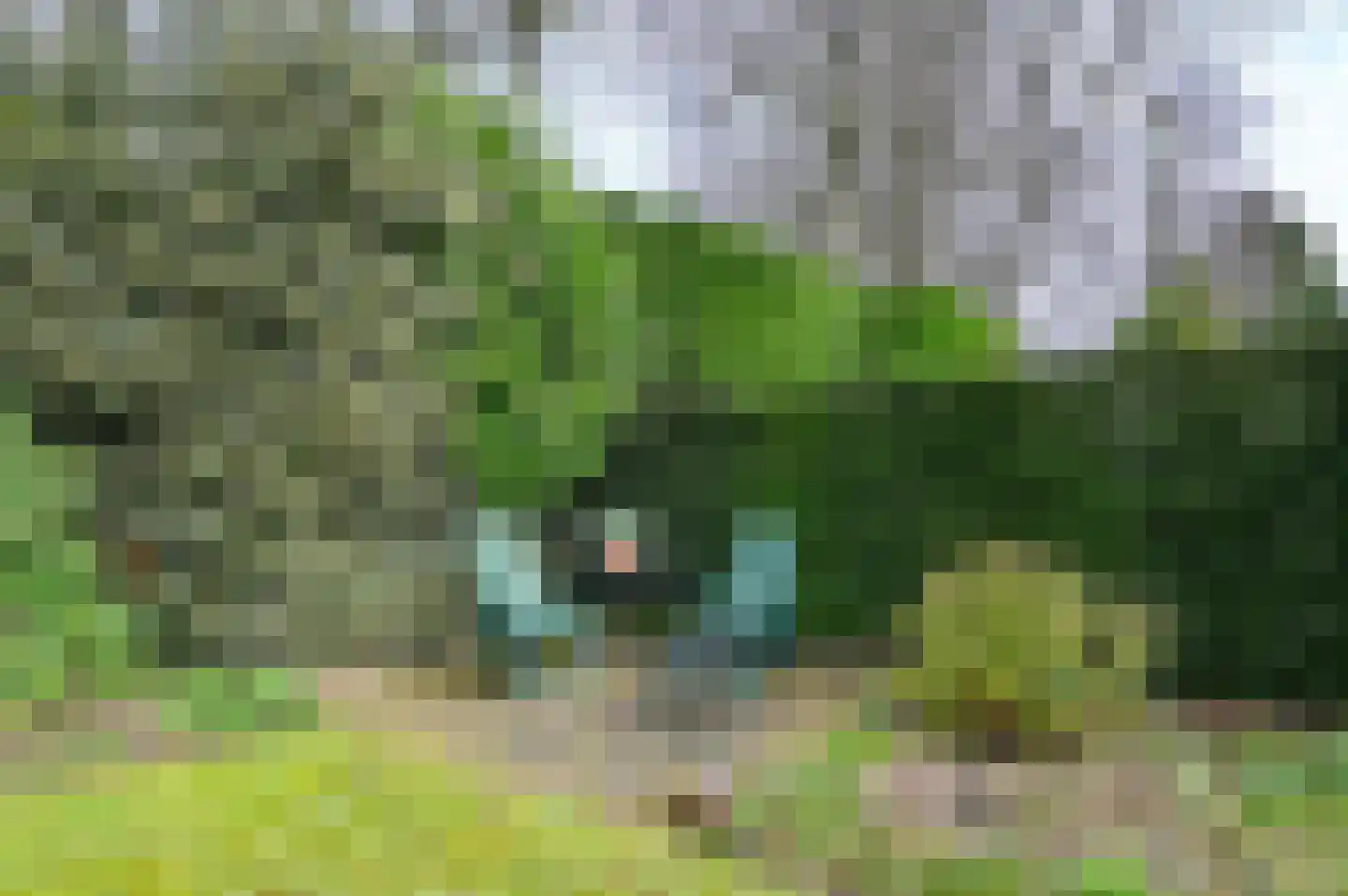 Bosbeeklaan 8 Santpoort-Noord thumbnail 46