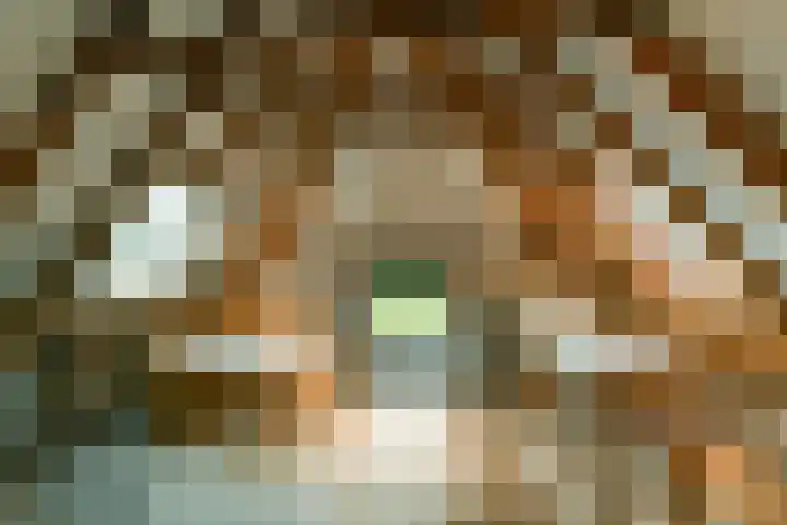 Bosbeekweg 23 Bennekom thumbnail 5