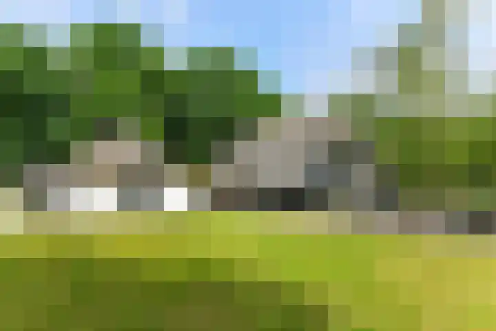 Bosbeekweg 23 Bennekom thumbnail 6