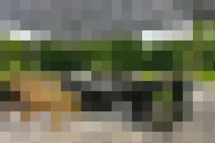 Bosbeekweg 23 Bennekom thumbnail 63