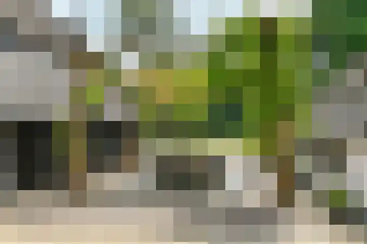 Bosbeekweg 23 Bennekom thumbnail 67