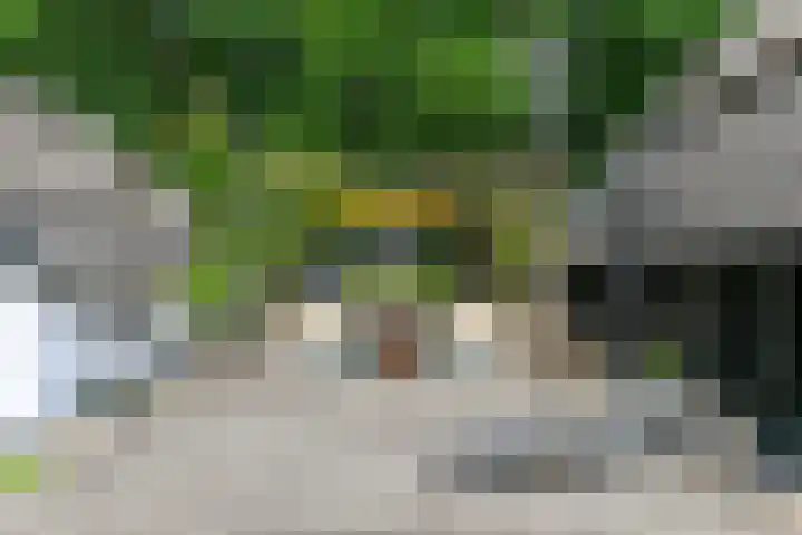 Bosbeekweg 23 Bennekom thumbnail 69