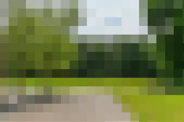 Bosbeekweg 23 Bennekom thumbnail 70