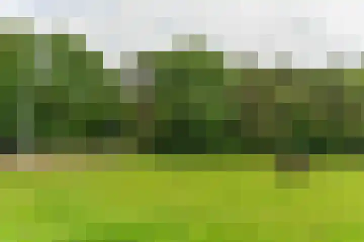 Bosbeekweg 23 Bennekom thumbnail 72