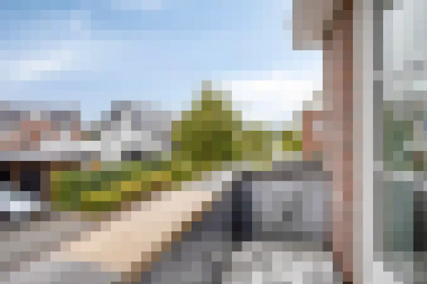 Bosbeemd 1 Vlijmen thumbnail 25