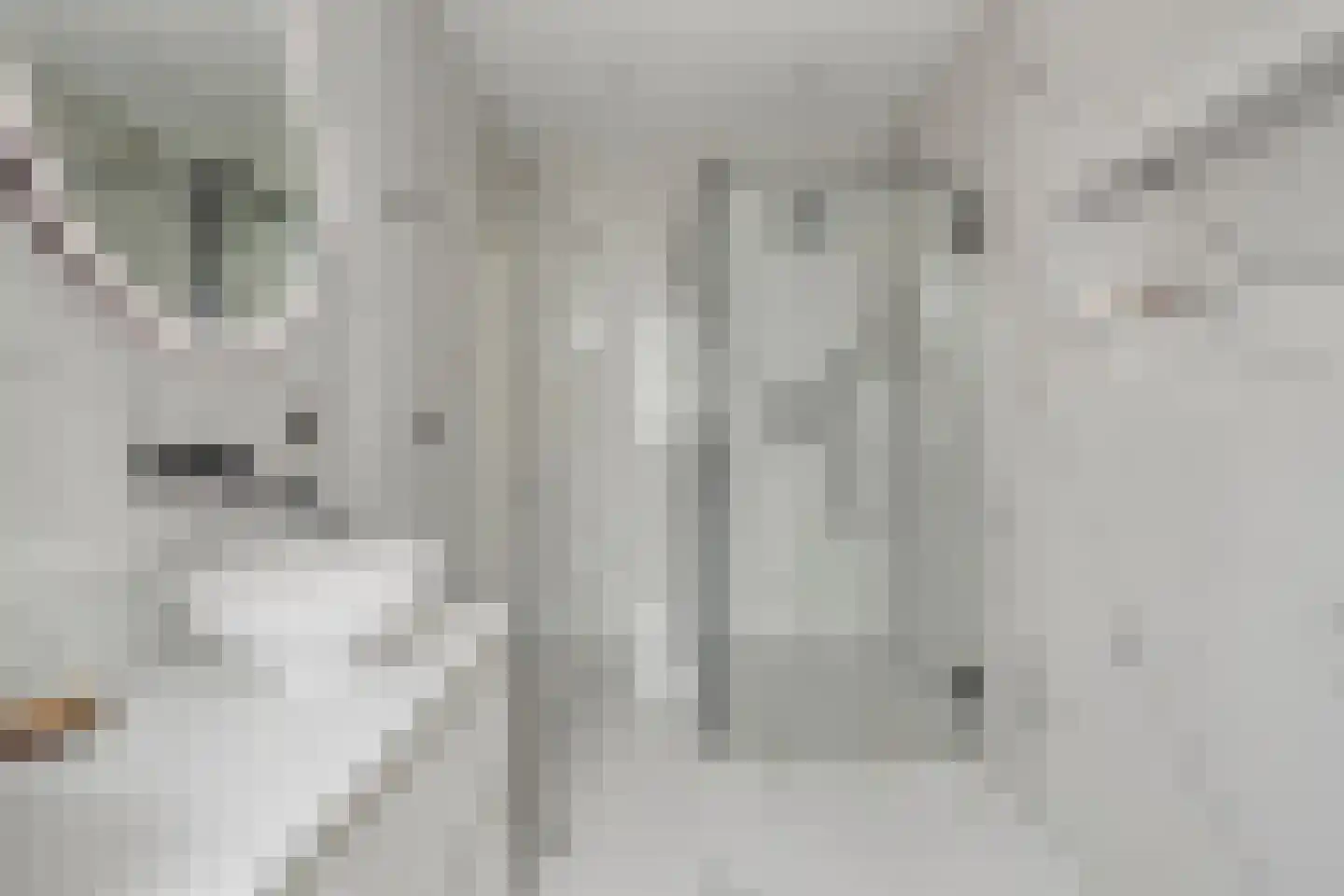 Bosbeemd 1 Vlijmen thumbnail 26