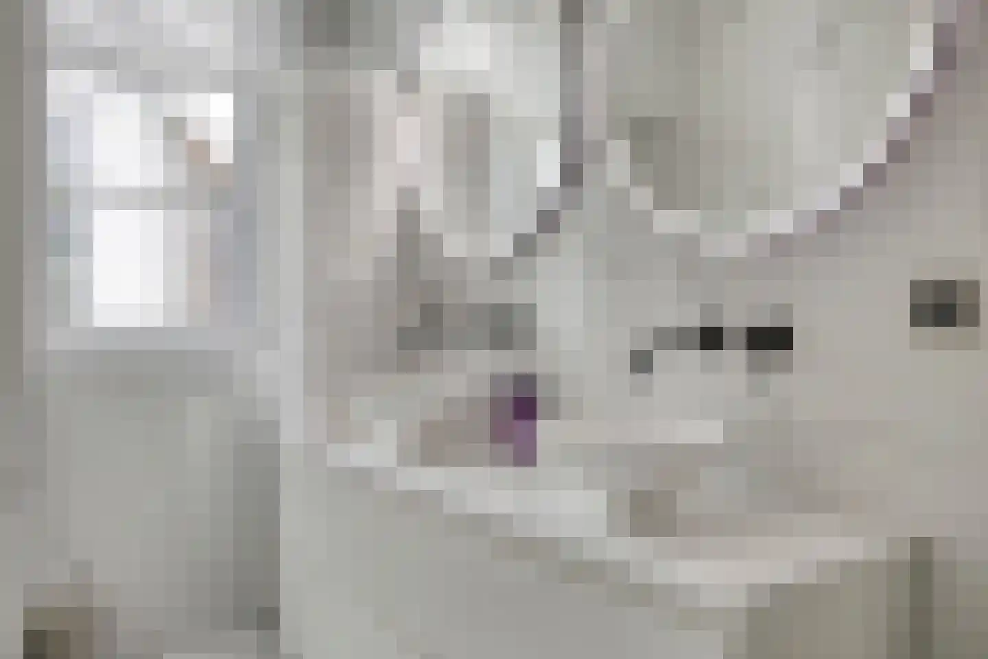 Bosbeemd 1 Vlijmen thumbnail 27