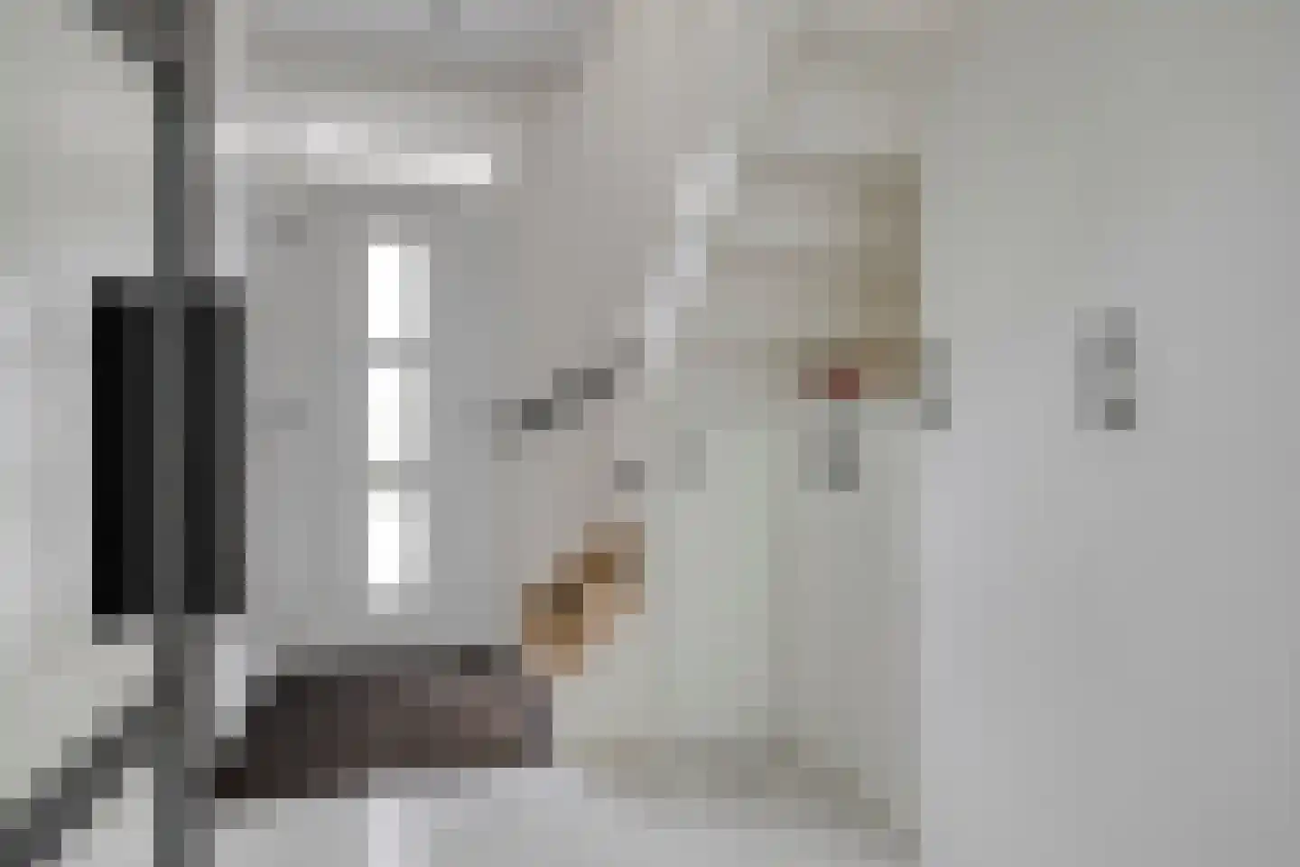 Bosbeemd 1 Vlijmen thumbnail 6