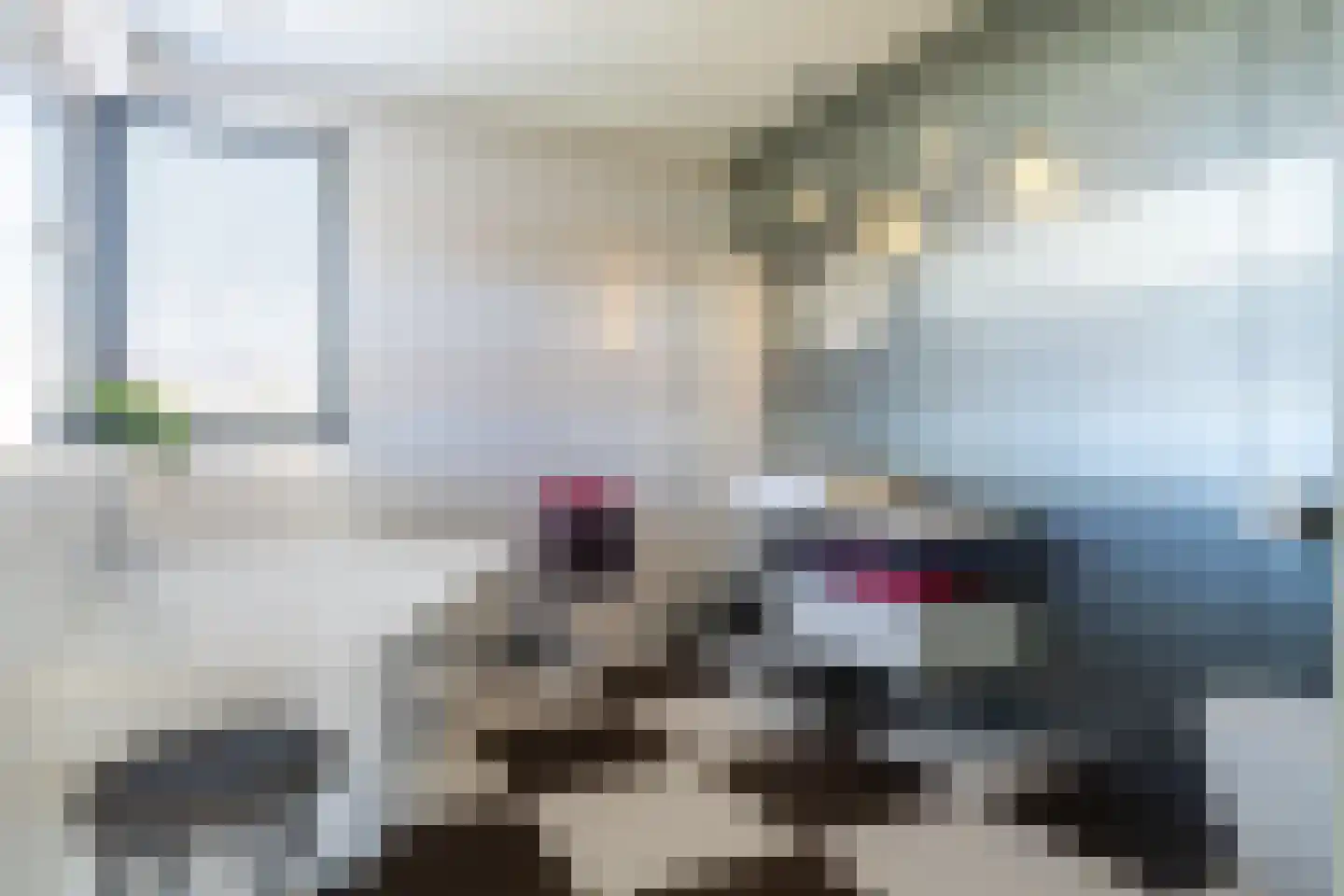 Bosbeemd 17 Vlijmen thumbnail 30