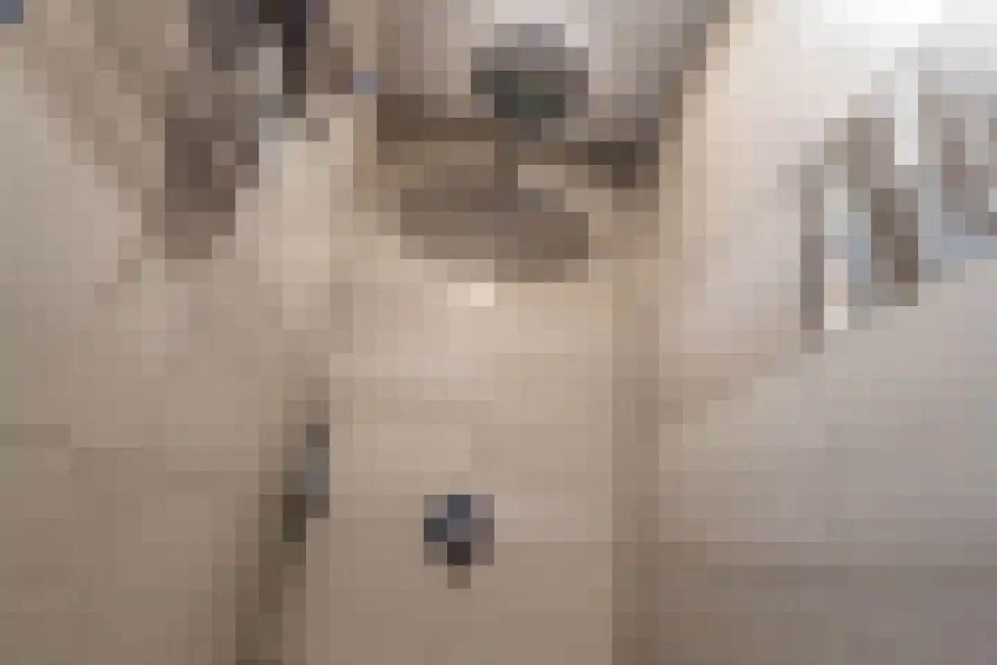 Bosbeemd 17 Vlijmen thumbnail 39