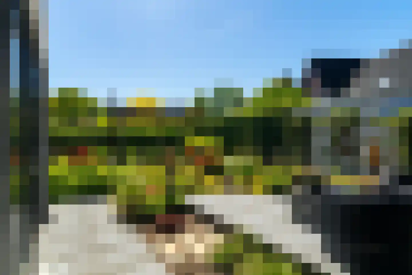 Bosbeemd 17 Vlijmen thumbnail 58