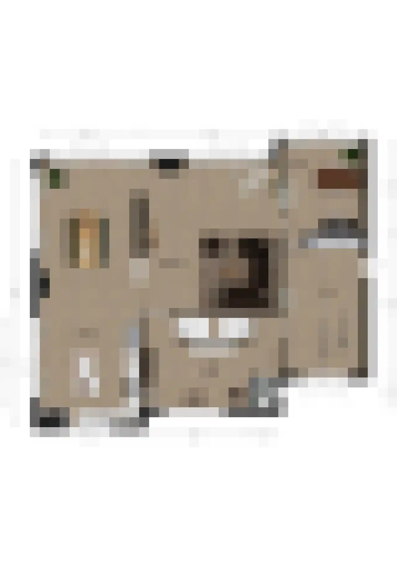 Bosbeemd 17 Vlijmen thumbnail 60
