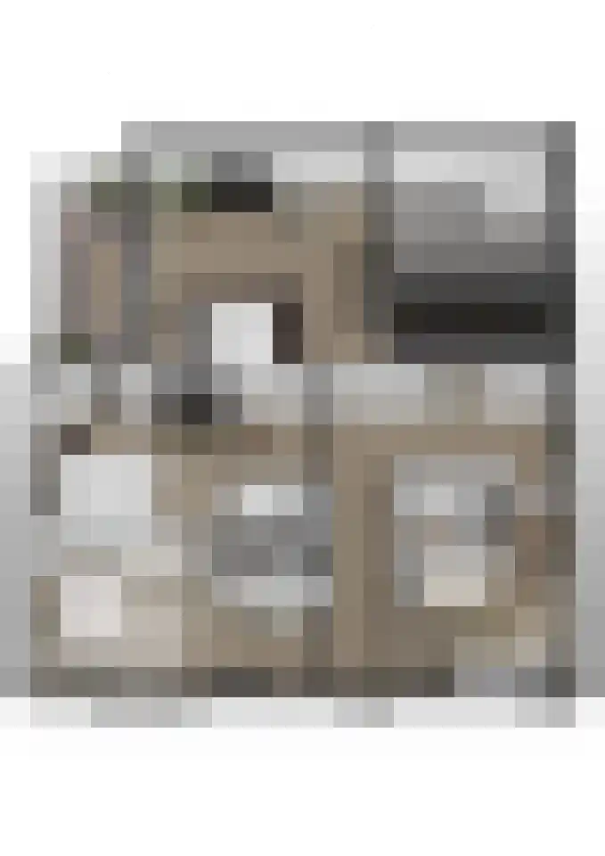 Bosbeemd 17 Vlijmen thumbnail 63