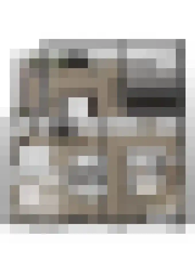 Bosbeemd 17 Vlijmen thumbnail 63