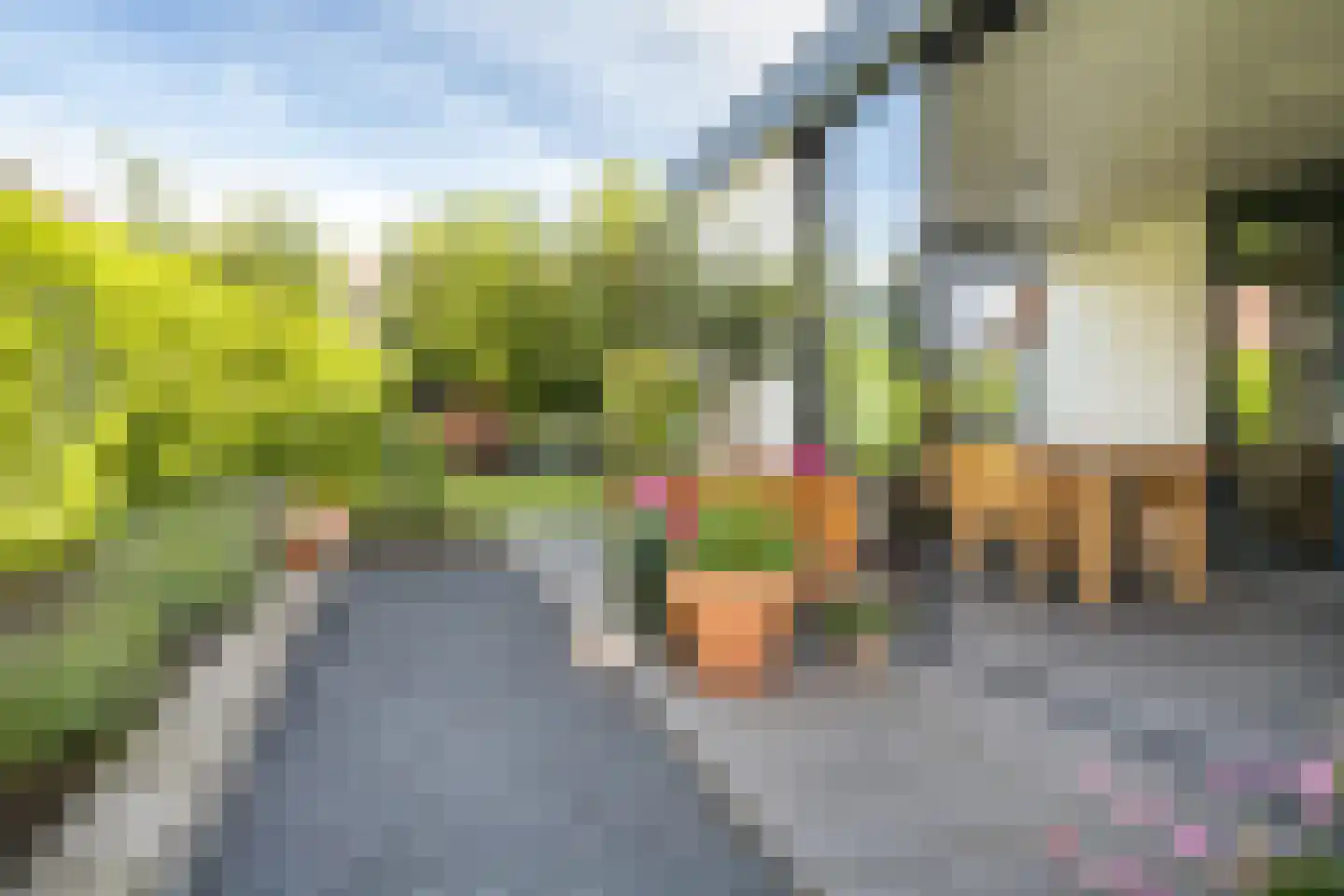 Bosbeemd 19 Vlijmen thumbnail 14