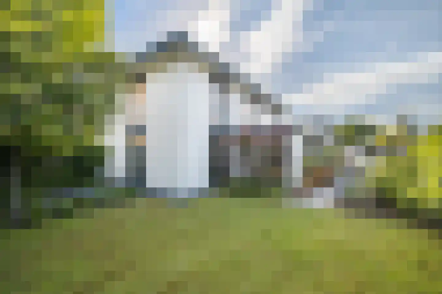 Bosbeemd 19 Vlijmen thumbnail 29