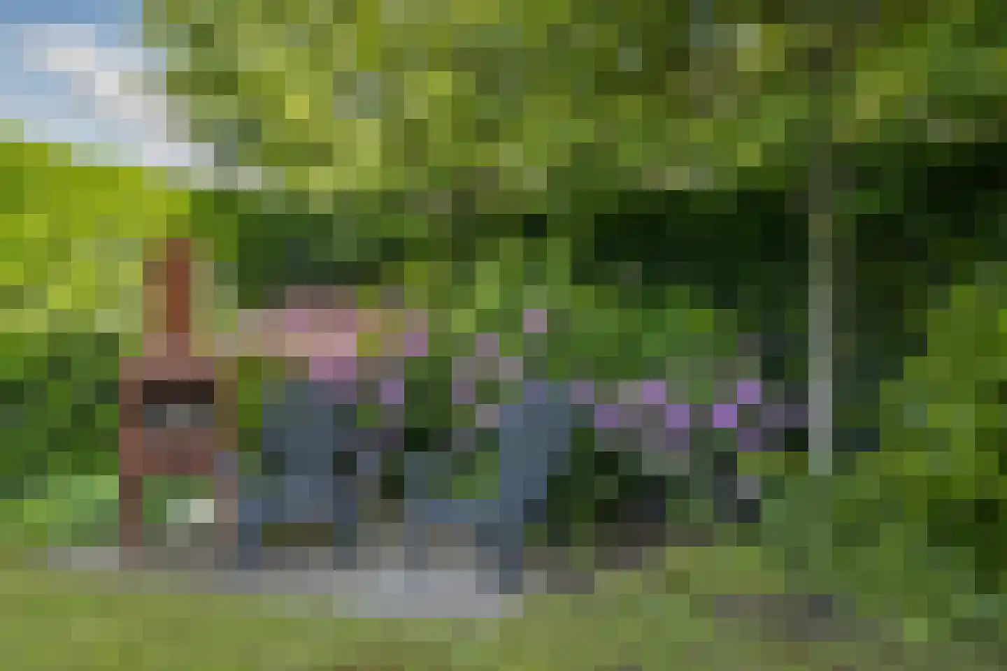 Bosbeemd 19 Vlijmen thumbnail 30