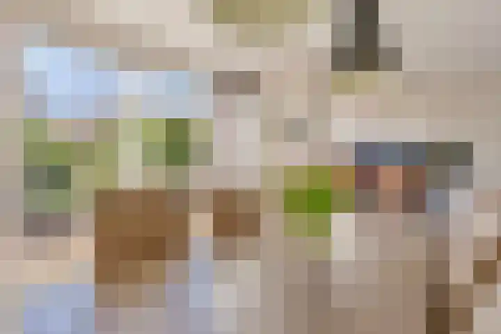 Bosberg 13 Kerkrade thumbnail 11