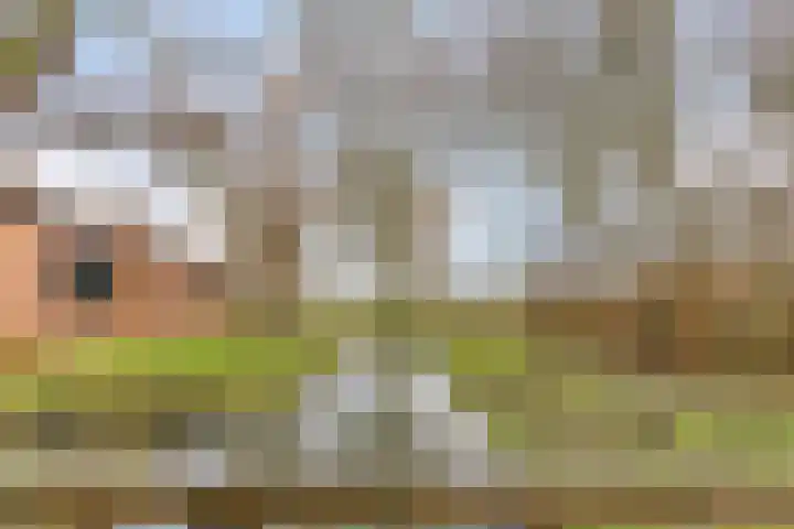 Bosberg 13 Kerkrade thumbnail 42
