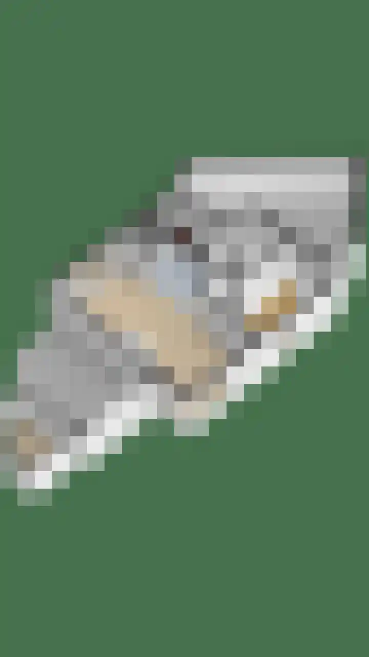 Bosberg 13 Kerkrade thumbnail 44