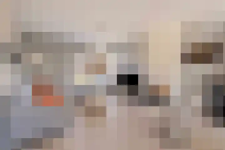 Bosberg 13 Kerkrade thumbnail 6