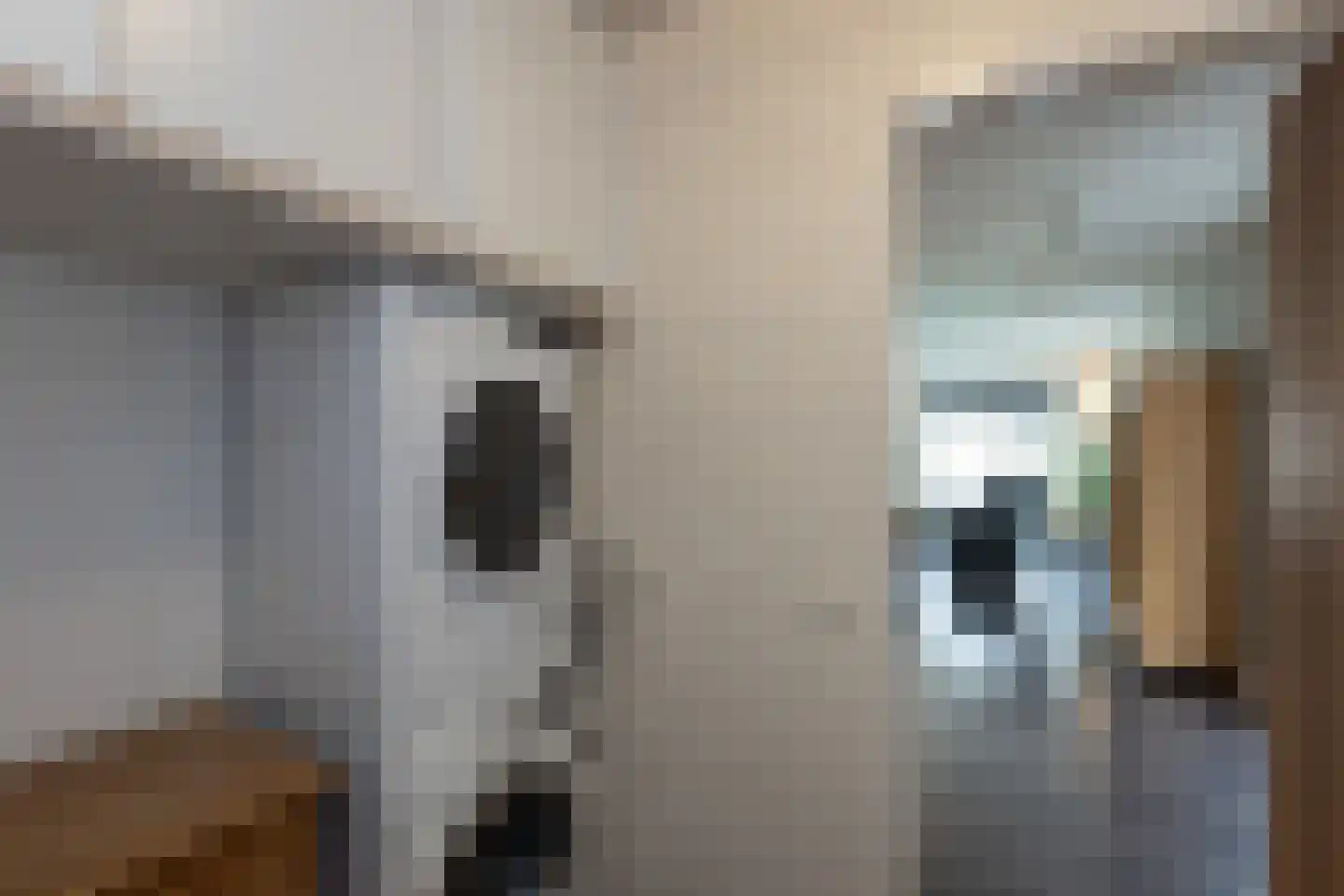 Bosberg 20 Borculo thumbnail 15