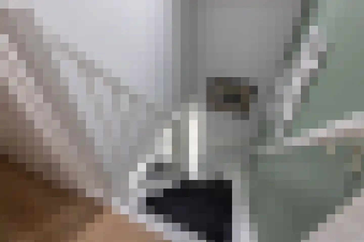 Bosberg 20 Borculo thumbnail 21