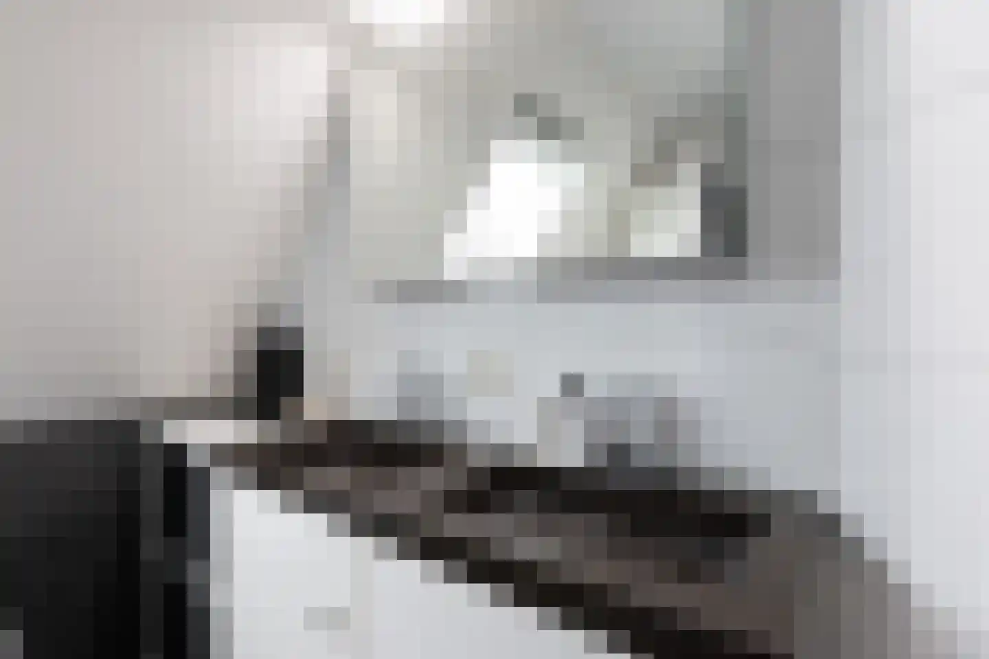 Bosberg 20 Borculo thumbnail 32
