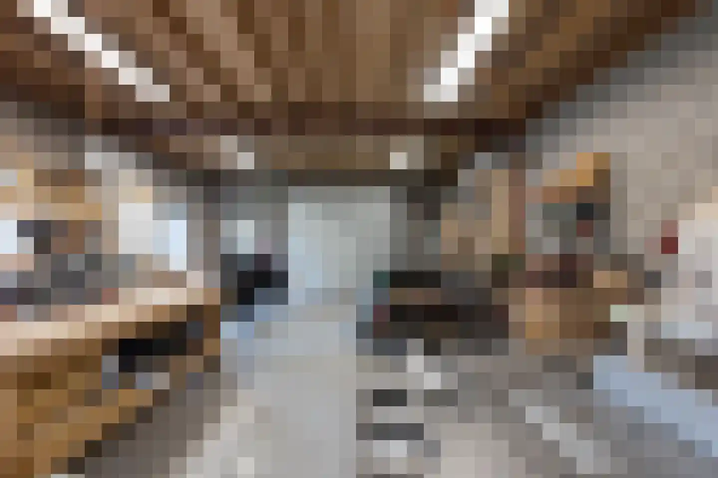 Bosberg 20 Borculo thumbnail 40