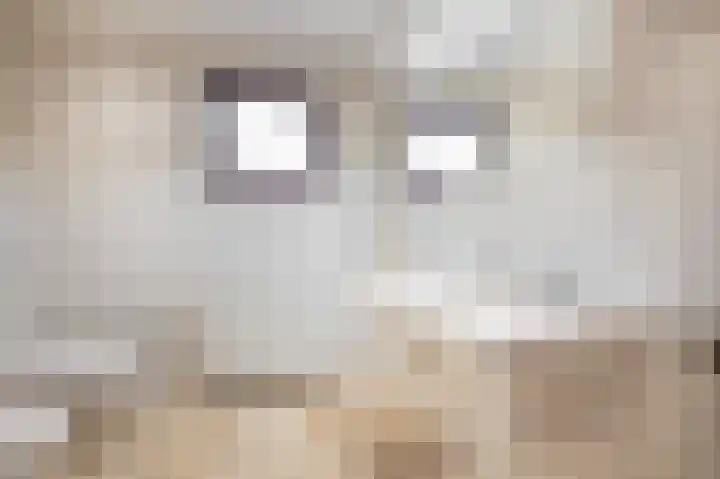 Bosberg 24 Kerkrade thumbnail 17