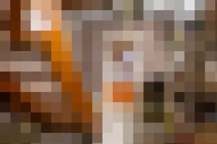 Bosberg 24 Kerkrade thumbnail 18