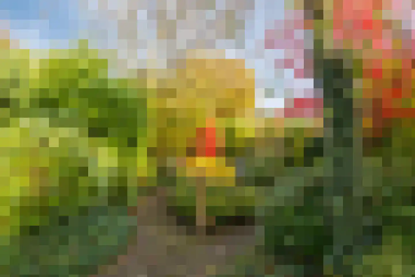 Bosberg 29 Kerkrade thumbnail 39