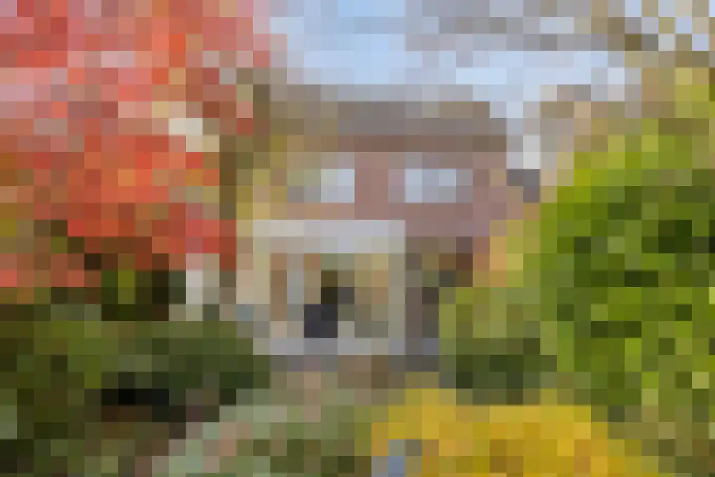 Bosberg 29 Kerkrade thumbnail 42
