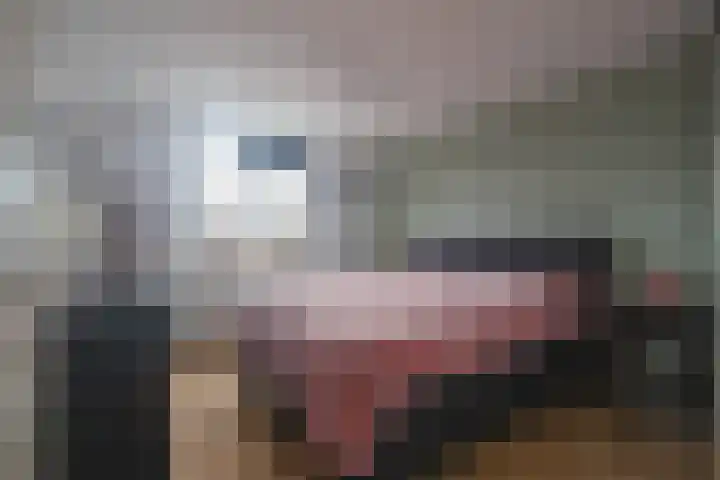 Bosberg 68 Kerkrade thumbnail 12