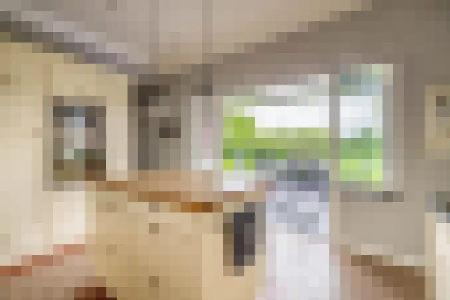Bosbergstraat 39 Lomm thumbnail 11