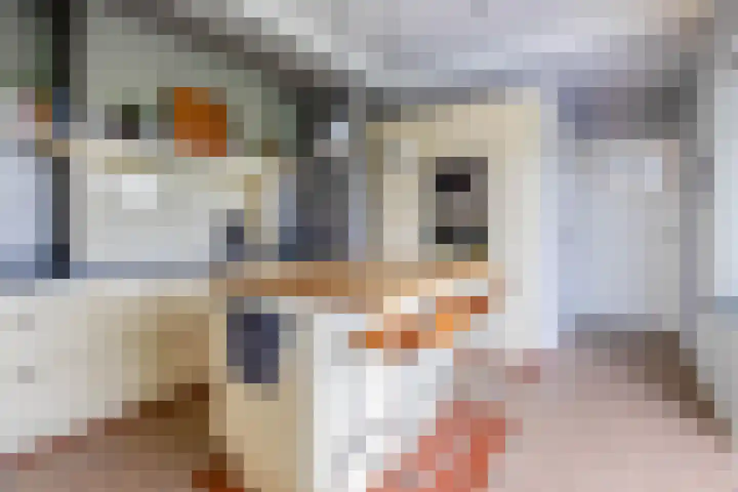 Bosbergstraat 39 Lomm thumbnail 12